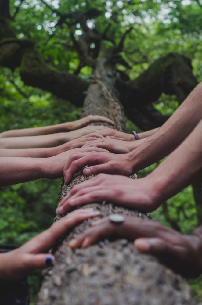 hands-together-lined-up-on-tree-trunk.jpg (2.14 MB)